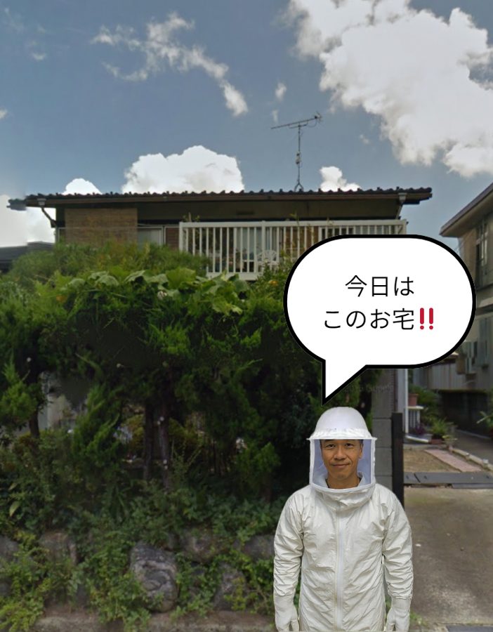 蜂駆除作業開始(防護服を着た作業スタッフ)