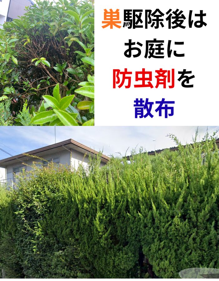 駆除後にお庭へ防虫剤を散布して再発防止
